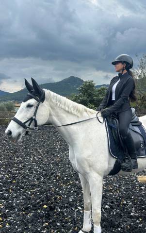 Selle Dressage Passier 