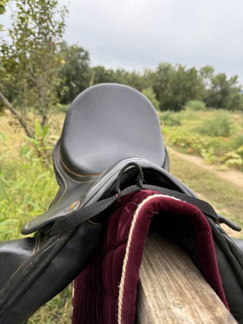 Selle de dressage ZALDI SAN JORGE