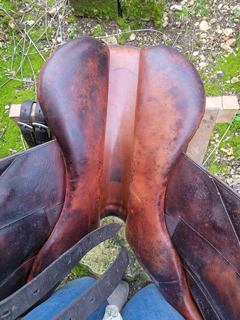 Selle Boeckelo Forestier