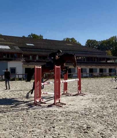 Très bon cheval 4 ans