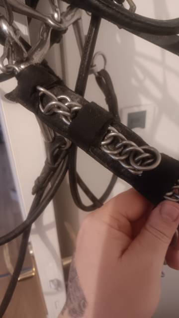 Bride cheval &agrave; vendre 