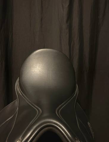 Selle d&rsquo;&eacute;quitation + &eacute;trivi&egrave;res