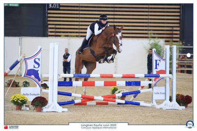 Cheval sport, 4 ans, bai; sf, 1.72