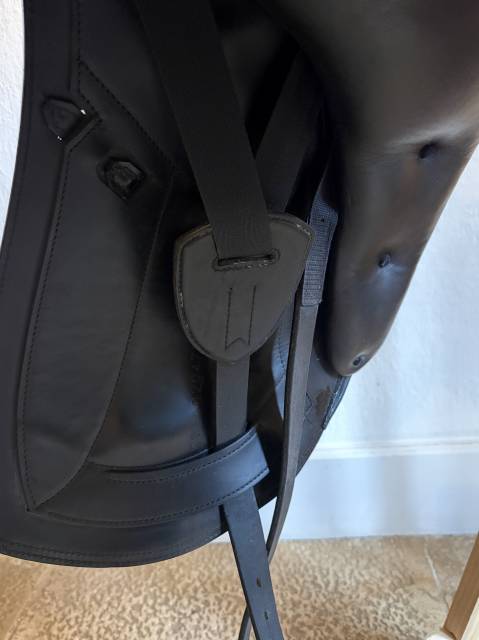 Selle ErrePlus Dressage