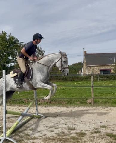 Epona du rheu jument 6 ans