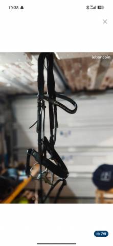 Selle ikonic 18 pouce