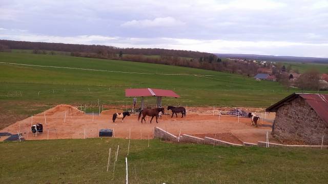 Pension pré/paddock stabilisé 