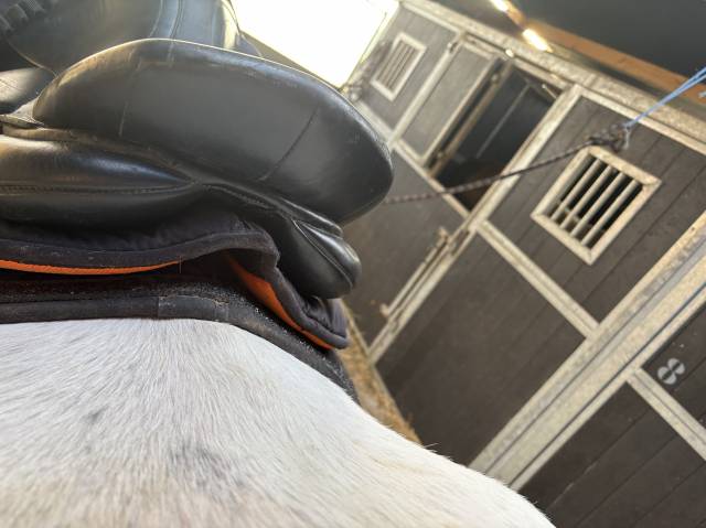 Selle Equipro + tapis Kentucky dressage