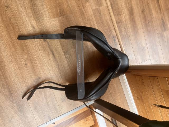 Selle Forestier Boeckelo 