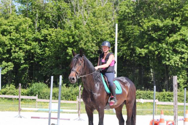 Prince : saillie étalon bwp