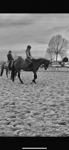 Recherche apprentissage bpjeps 