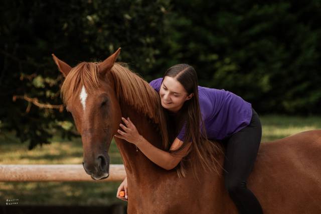 Recherche d'emploi milieu equestre