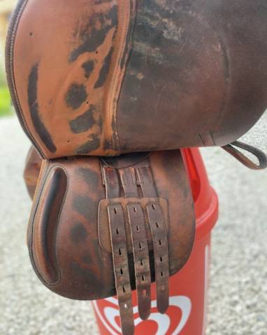 Selle anglaise cuir Terry's Quality Saddlery