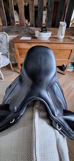 Selle Antares mod&egrave;le Cadence de 2022