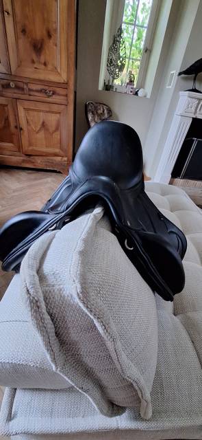 Selle Antares mod&egrave;le Cadence de 2022