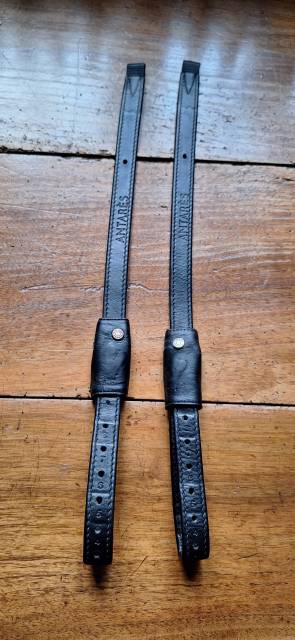 Selle Antares mod&egrave;le Cadence de 2022