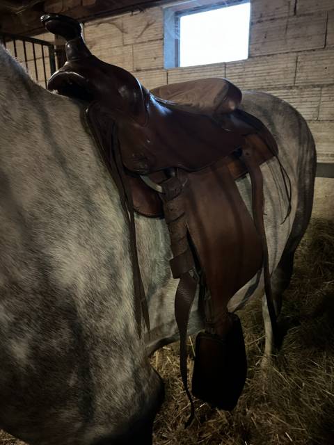 Selle western Bronco sp&eacute;cial