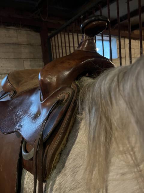 Selle western Bronco sp&eacute;cial