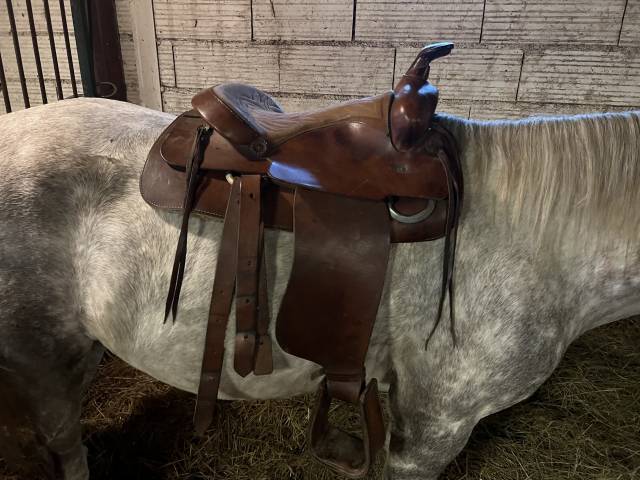 Selle western Bronco sp&eacute;cial