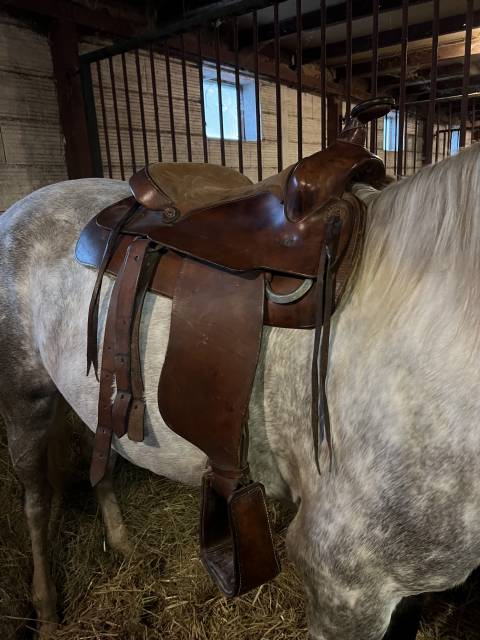 Selle western Bronco sp&eacute;cial