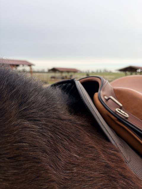 Selle de randonn&eacute;e Gaston Mercier, Margeride, TBE