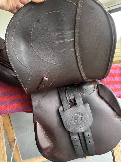 Selle Signature Antares 