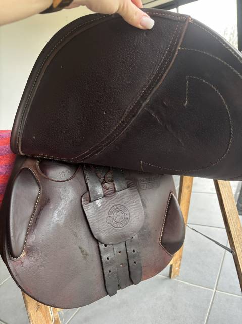 Selle Signature Antares 