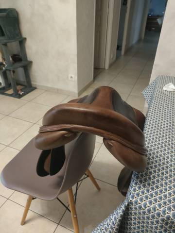 Selle Antares Spooner 