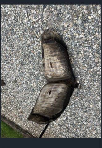 Sellette Harnais surfaix cuir collier  Selle de travail