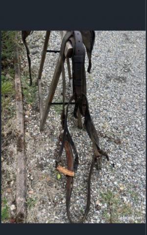 Sellette Harnais surfaix cuir collier  Selle de travail