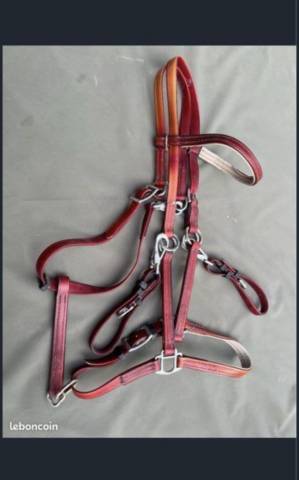 Filet licol bride endurance randonn&eacute;e  Norton rouge 