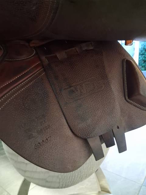 Selle CWD de 2022, 17 pouces 