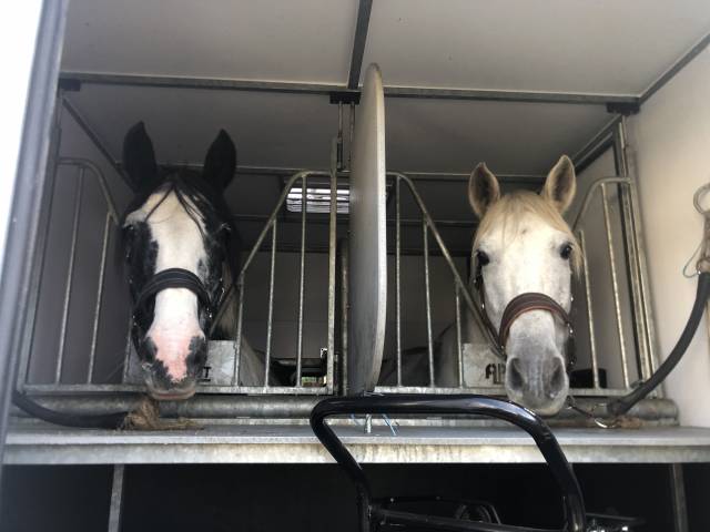 Vl master long 170cv 5 pl assises