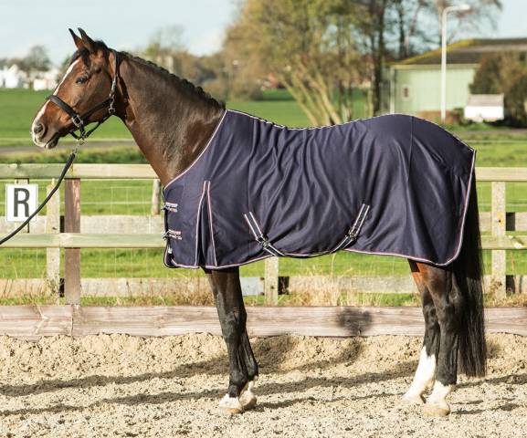 Chemise Polycotton ultra-resistante - Harry's Horse
