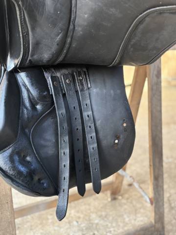 Selle de dressage 