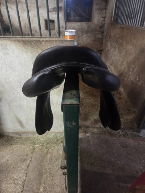 Selle forestier seoul 2023