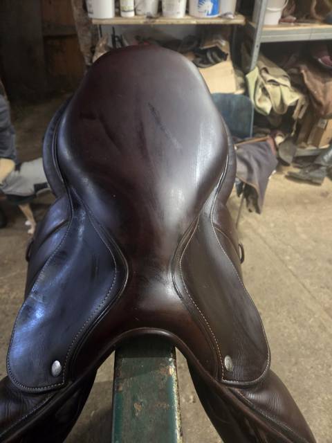 Selle forestier seoul 2023