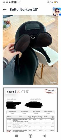 Selle randonn&eacute;e Rexine Evol Norton 