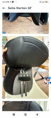 Selle randonn&eacute;e Rexine Evol Norton 