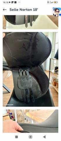 Selle randonn&eacute;e Rexine Evol Norton 