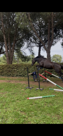 Jument d’exception 