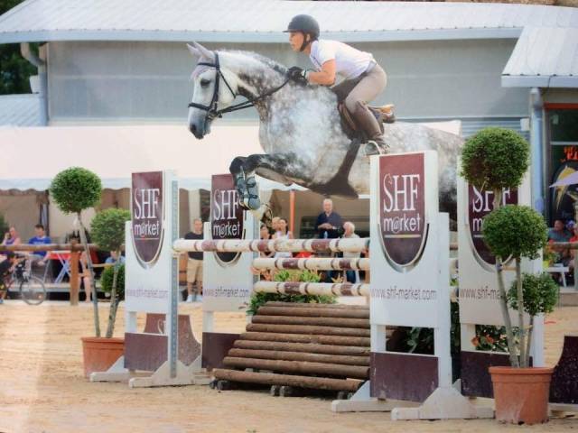 Jument d'école westfalen 2009, dressage