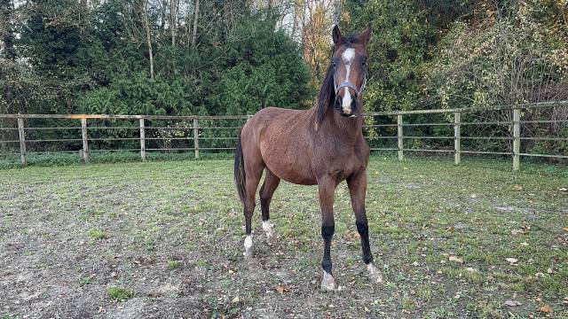 Fils de mère performante sur 135