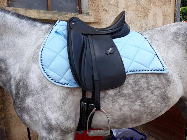 Selle dressage ZALDI 