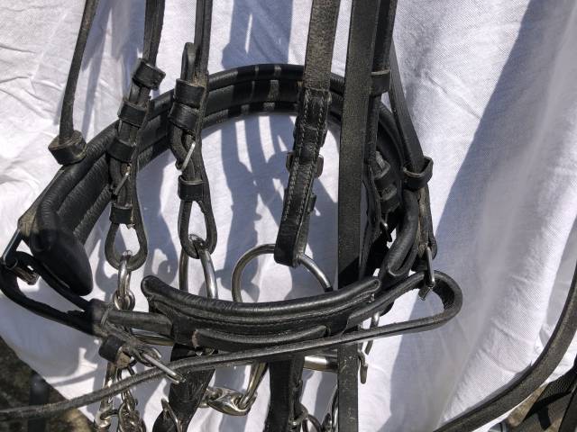 Beide de dressage aber 2 more de 14,5