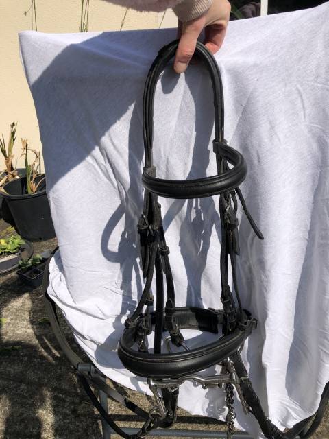 Beide de dressage aber 2 more de 14,5