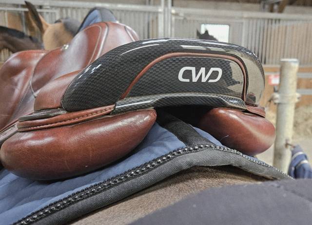 Selle CWD 2GS 