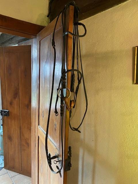 Filet en cuir Anglais rond, muser Française, Bon état.