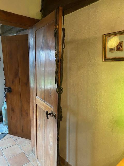 Collier de chasse en cuir Anglais - Tr&egrave;s bon &eacute;tat.