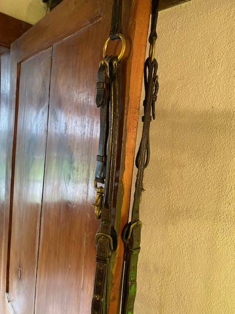 Collier de chasse en cuir Anglais - Tr&egrave;s bon &eacute;tat.